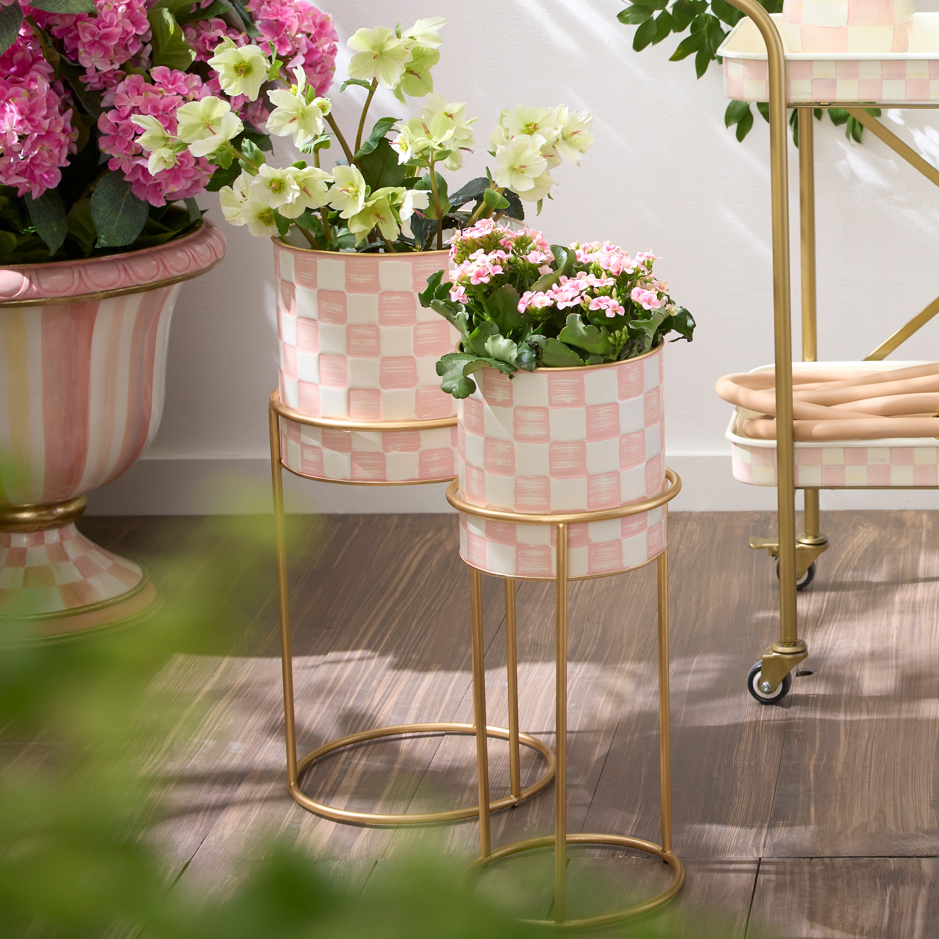 MacKenzie-Childs | Rosy Check It Out Planters, Set of 2