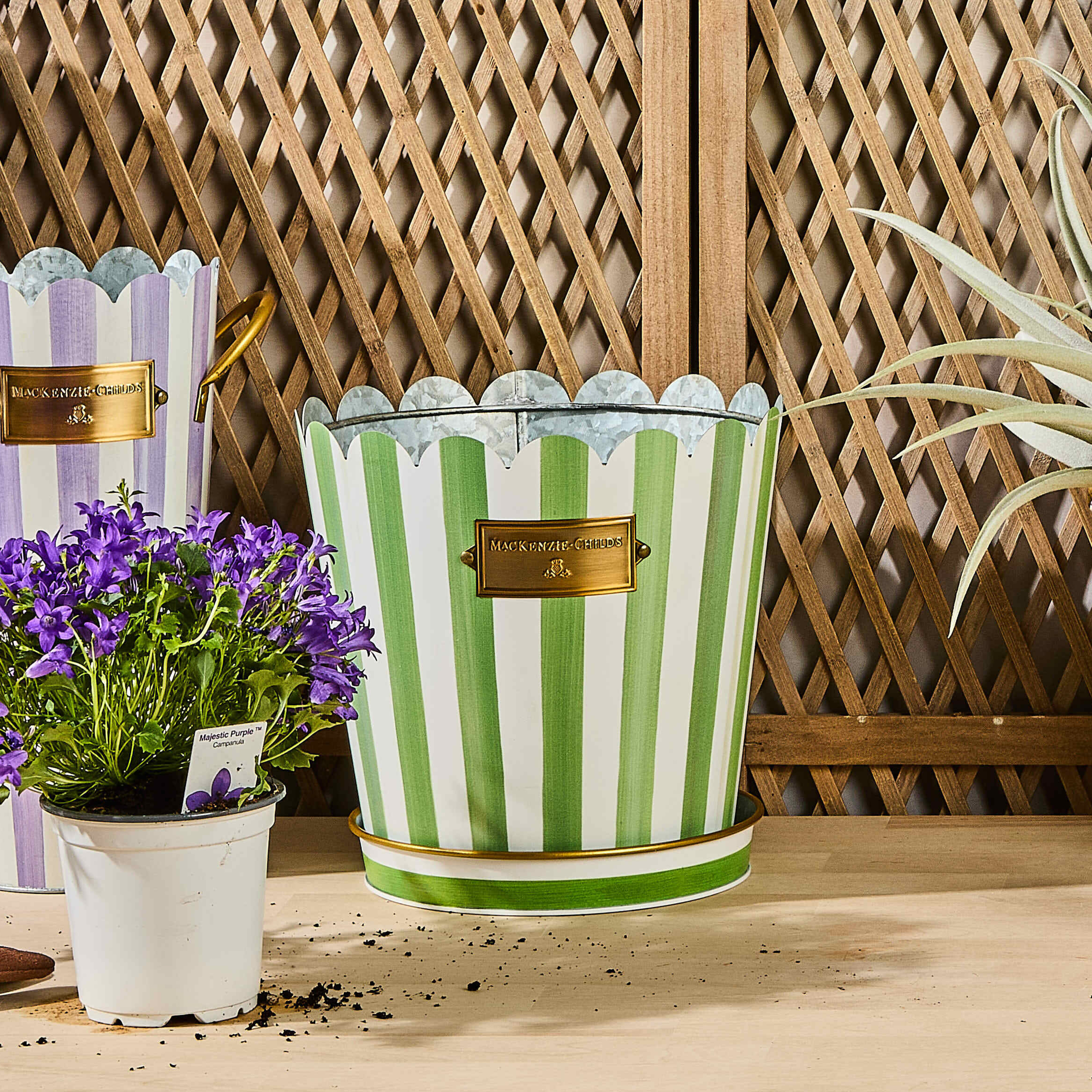 MacKenzie-Childs | Grass Green Stripe Pots & Saucers, Set of 3