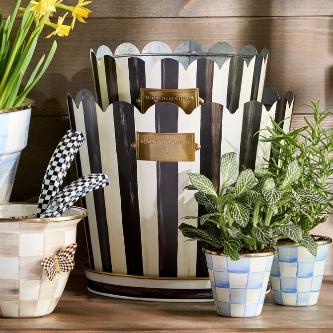 Courtly Stripe Pots & Saucers, Set of 3 image number 4
