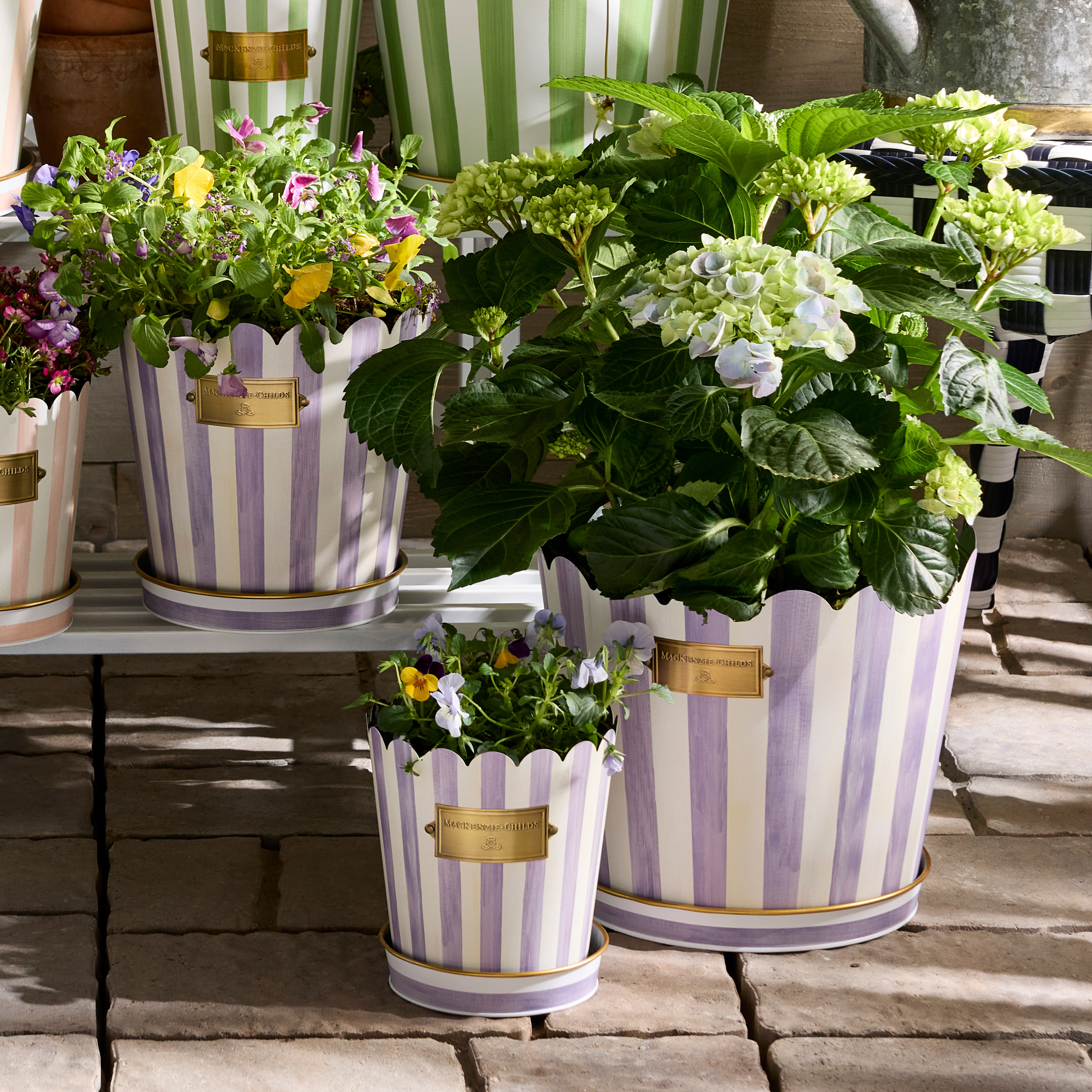 MacKenzie-Childs | Violet Stripe Pots & Saucers, Set of 3