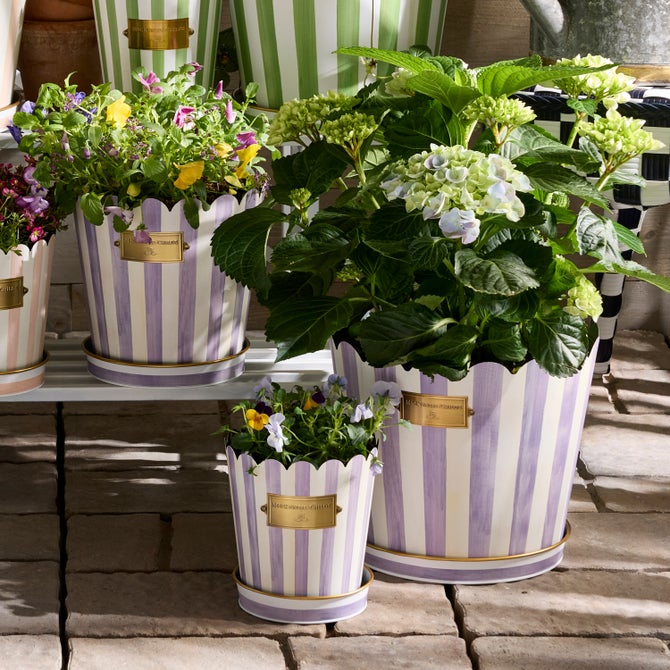 Violet Stripe Pots & Saucers, Set of 3 image number 1