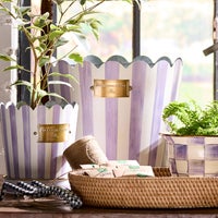 Violet Stripe Pots & Saucers, Set of 3