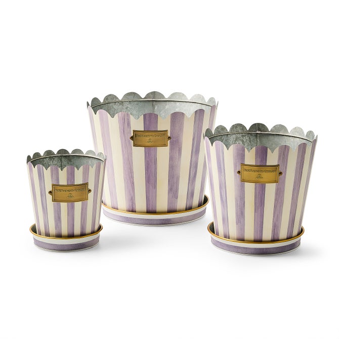Violet Stripe Pots & Saucers, Set of 3 image number 0
