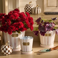 Mocha Stripe Pots & Saucers, Set of 3