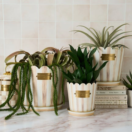 Mocha Stripe Pots & Saucers, Set of 3