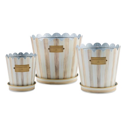 Mocha Stripe Pots & Saucers, Set of 3