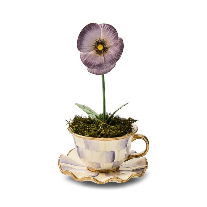 Violet Teacup Pansy image number 0