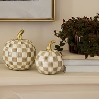 Mocha Check Mini Pumpkin