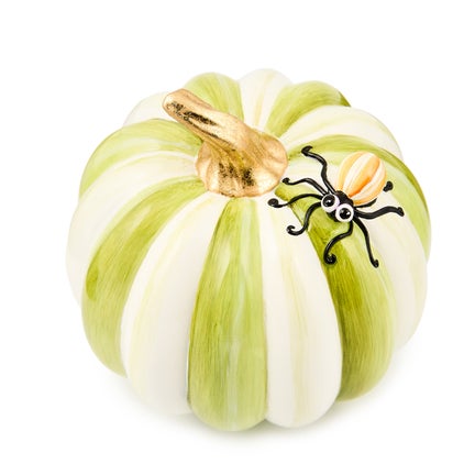 Fergal's Friend Spider on Mini Moss Stripe Pumpkin