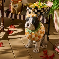Trick or Treat Frenchie Dog Figurine