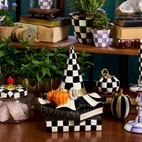 Courtly Check Witch Hat on Books