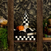 Courtly Check Witch Hat on Books