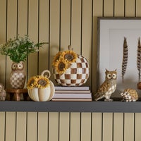 Chocolate Check Sunflower Pumpkin
