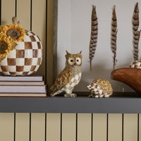 Mocha Check Owl