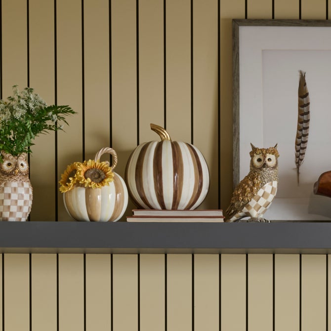 Chocolate Stripe Medium Pumpkin image number 3
