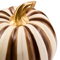 Chocolate Stripe Medium Pumpkin