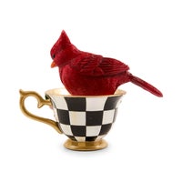 Cardinal in Teacup