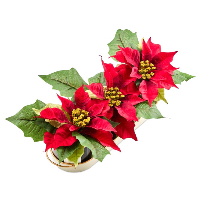 Courtly Stripe Poinsettia Triple Potted Blooms image number 3