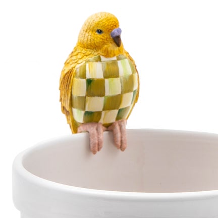 Parakeet Pot Climber - Chartreuse