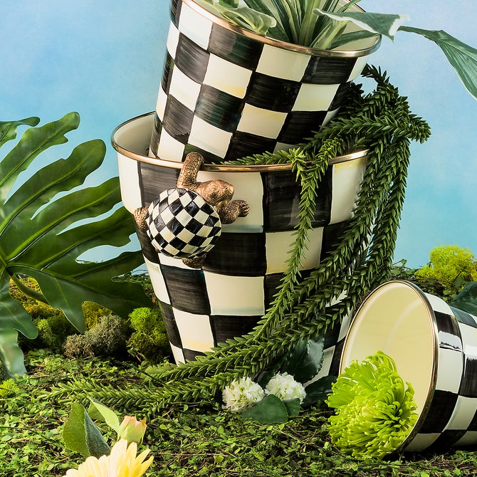Turtle Pot Climber image number 1