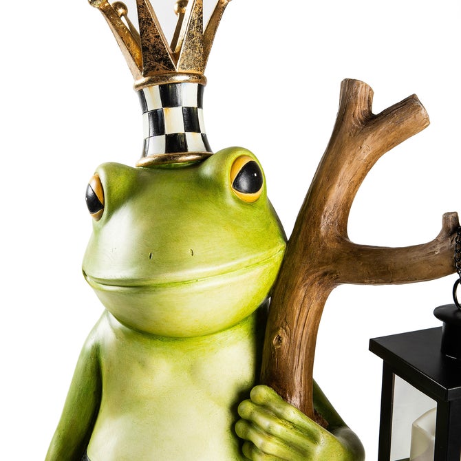 Fergal the Frog with Lantern image number 1