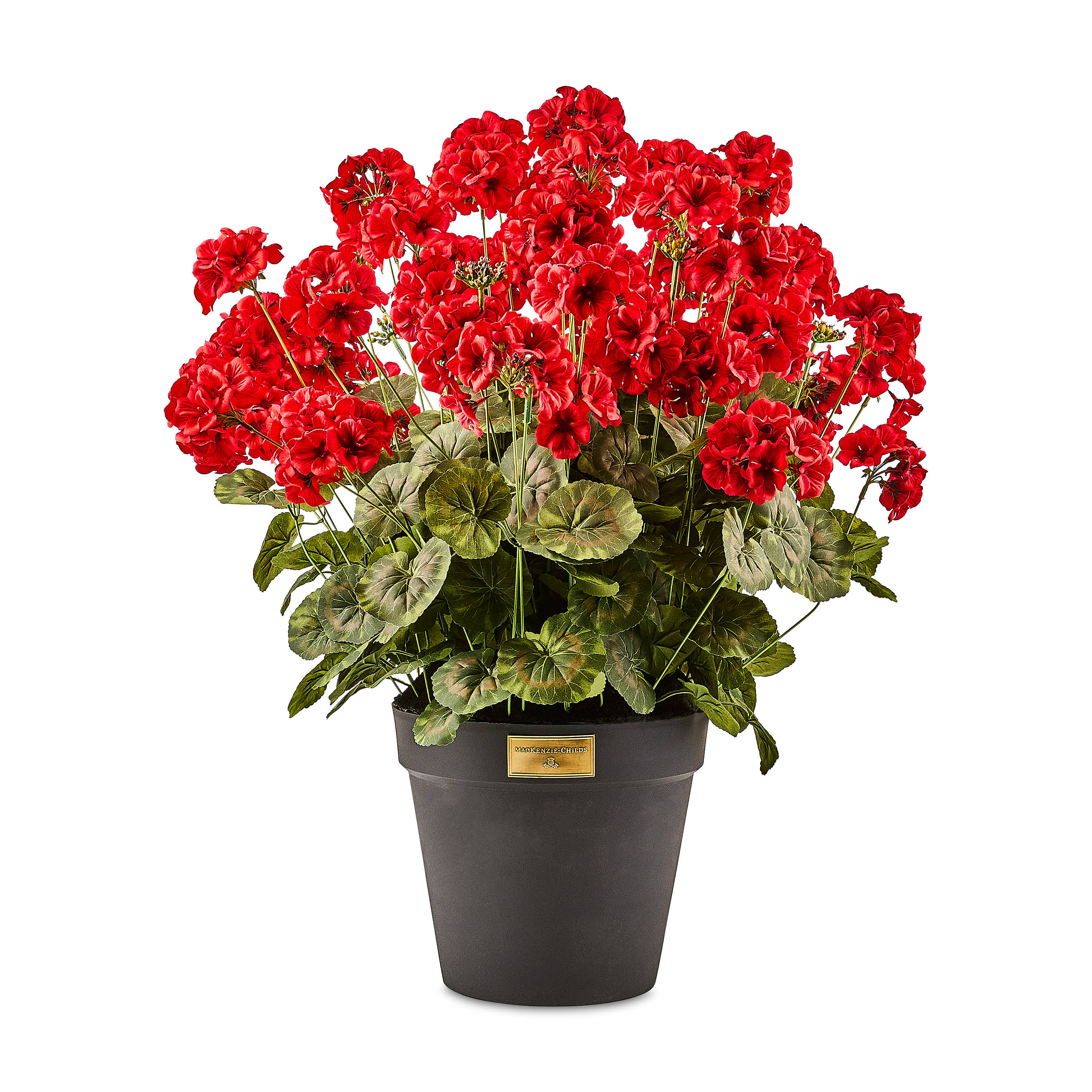 MacKenzie-Childs Geranium Urn Filler
