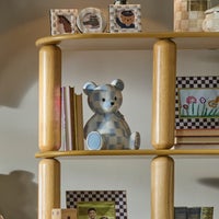Sky Bear Bank