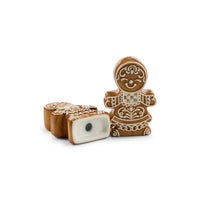 Mocha Check Gingerbread Salt & Pepper Shaker Set