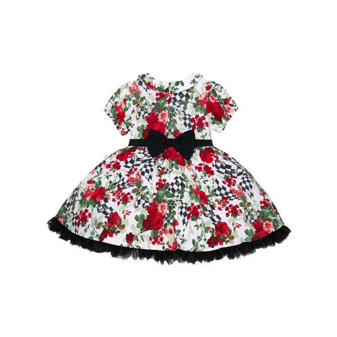 Posh Peanut Wild Rose Check Petticoat Dress image number 3