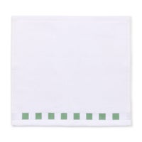 Washcloth with Sage Green Check Border