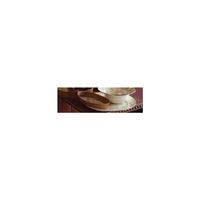 Parchment Check Enamel Serving Platter