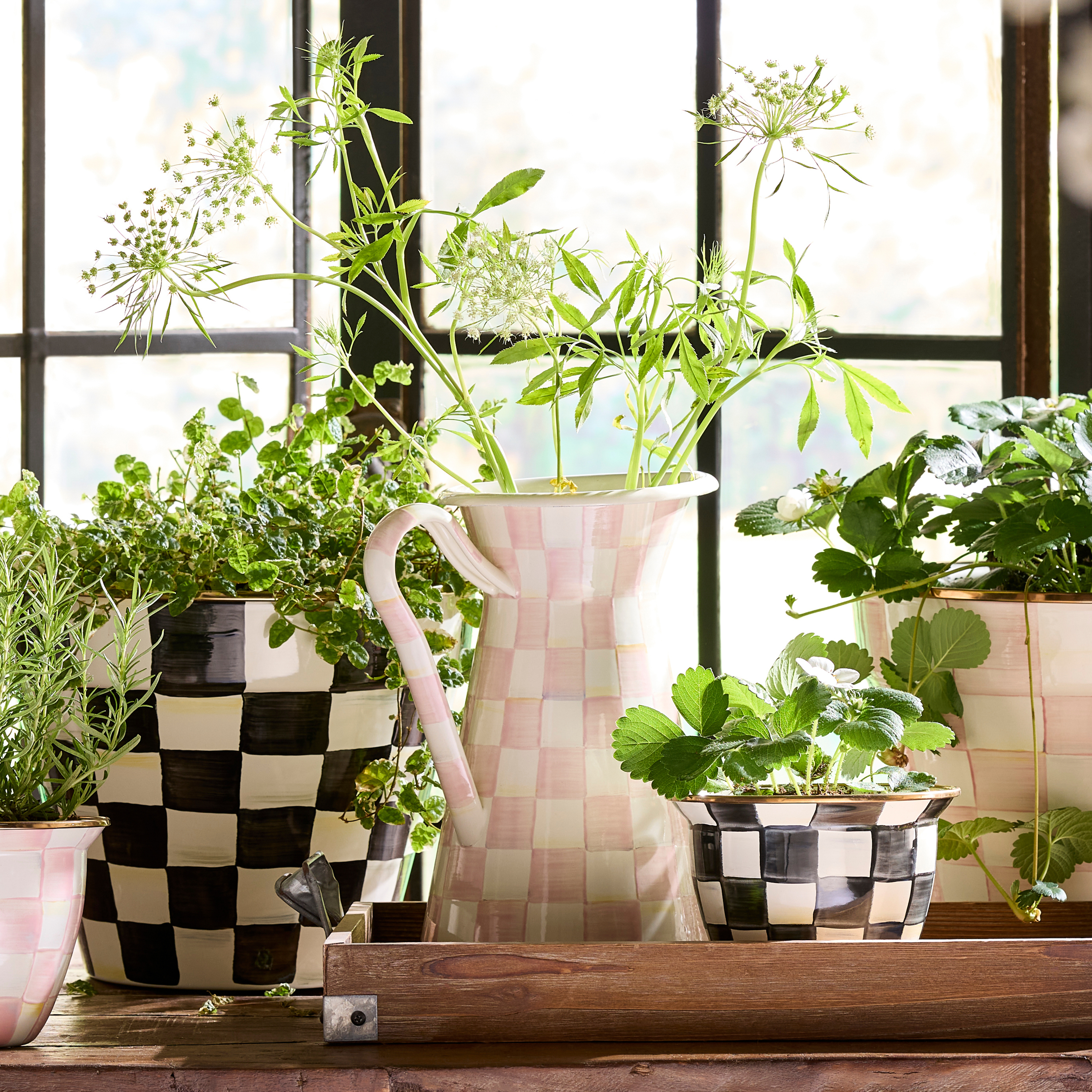 MacKenzie-Childs | Rosy Check Large Practical Pitcher