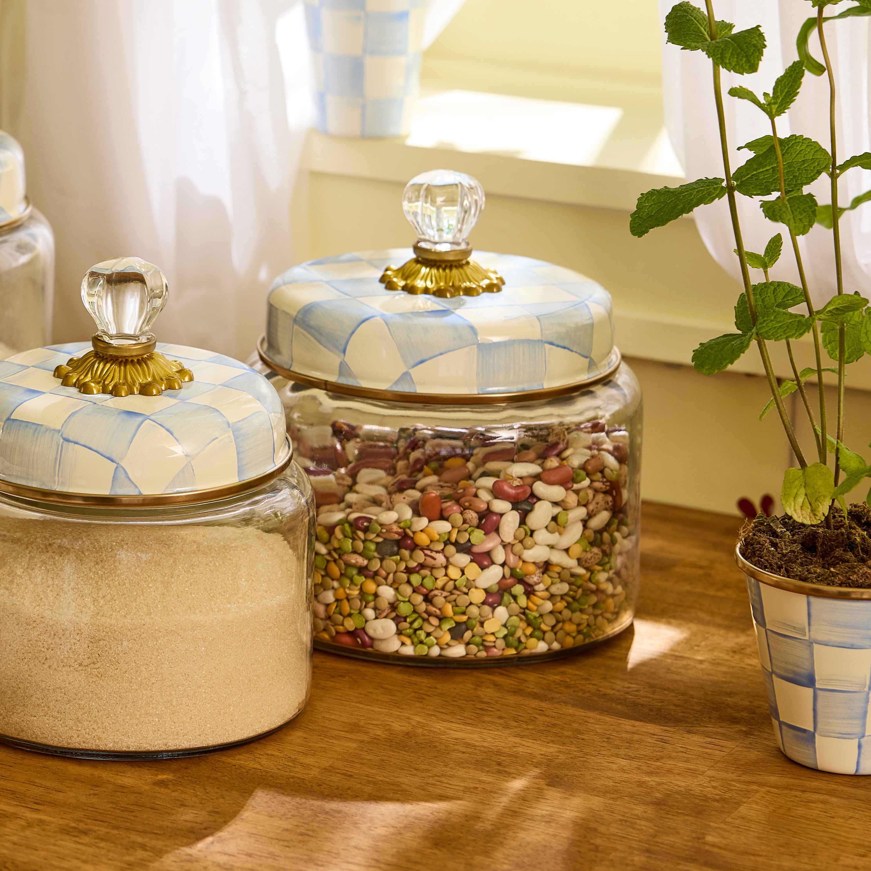 MacKenzie-Childs | Sky Check Medium Kitchen Canister