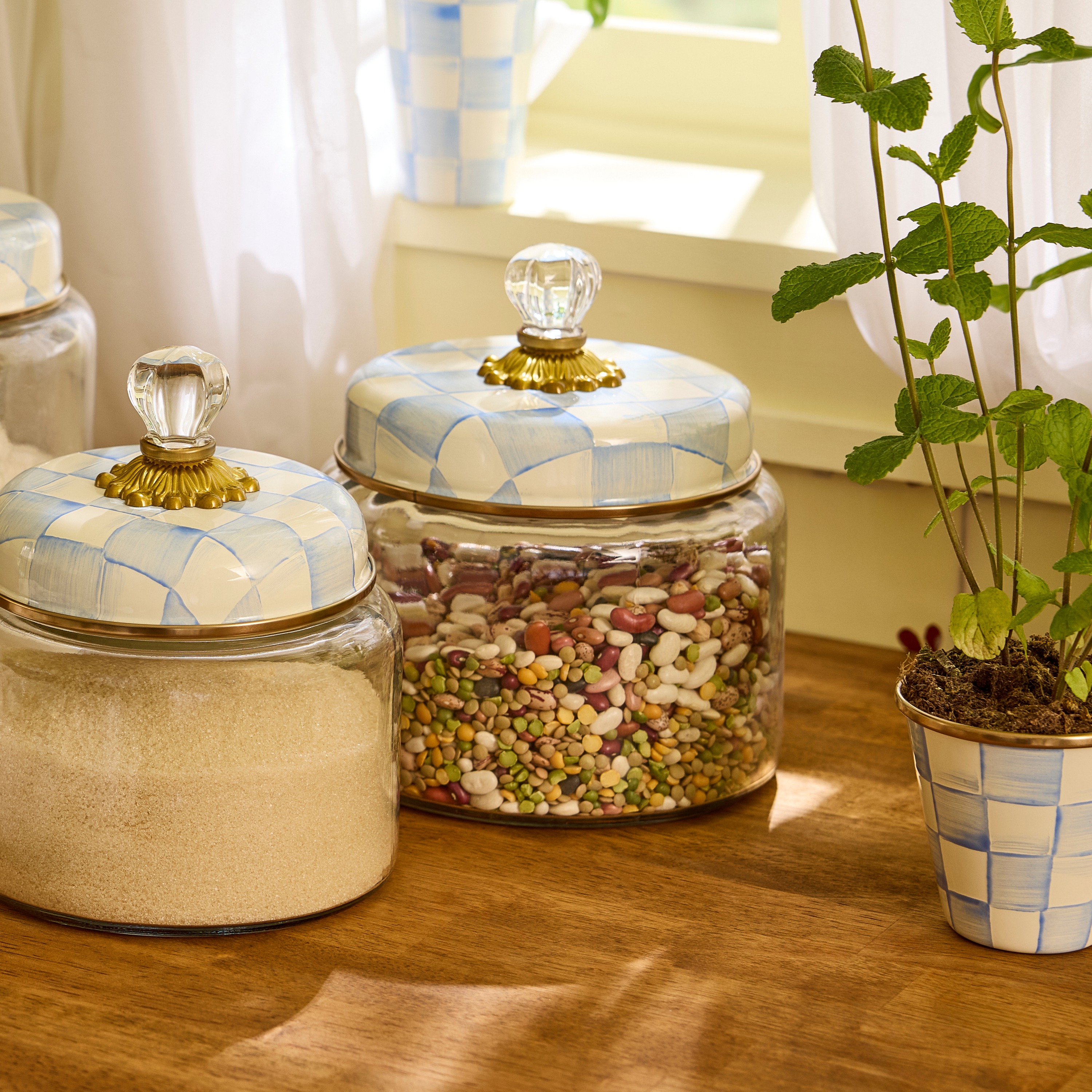 MacKenzie-Childs | Sky Check Medium Kitchen Canister