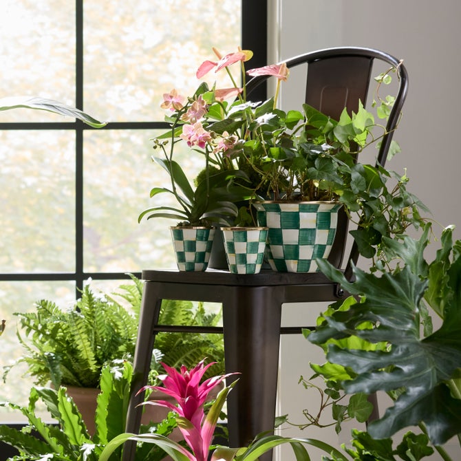 Emerald Check Herb Pots, Set of 3 image number 1