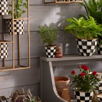 Courtly Check Herb Pots, Set of 3