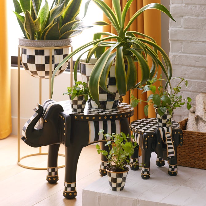 Courtly Check Herb Pots, Set of 3 image number 5