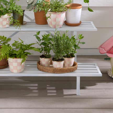 Rosy Check Herb Pots, Set of 3