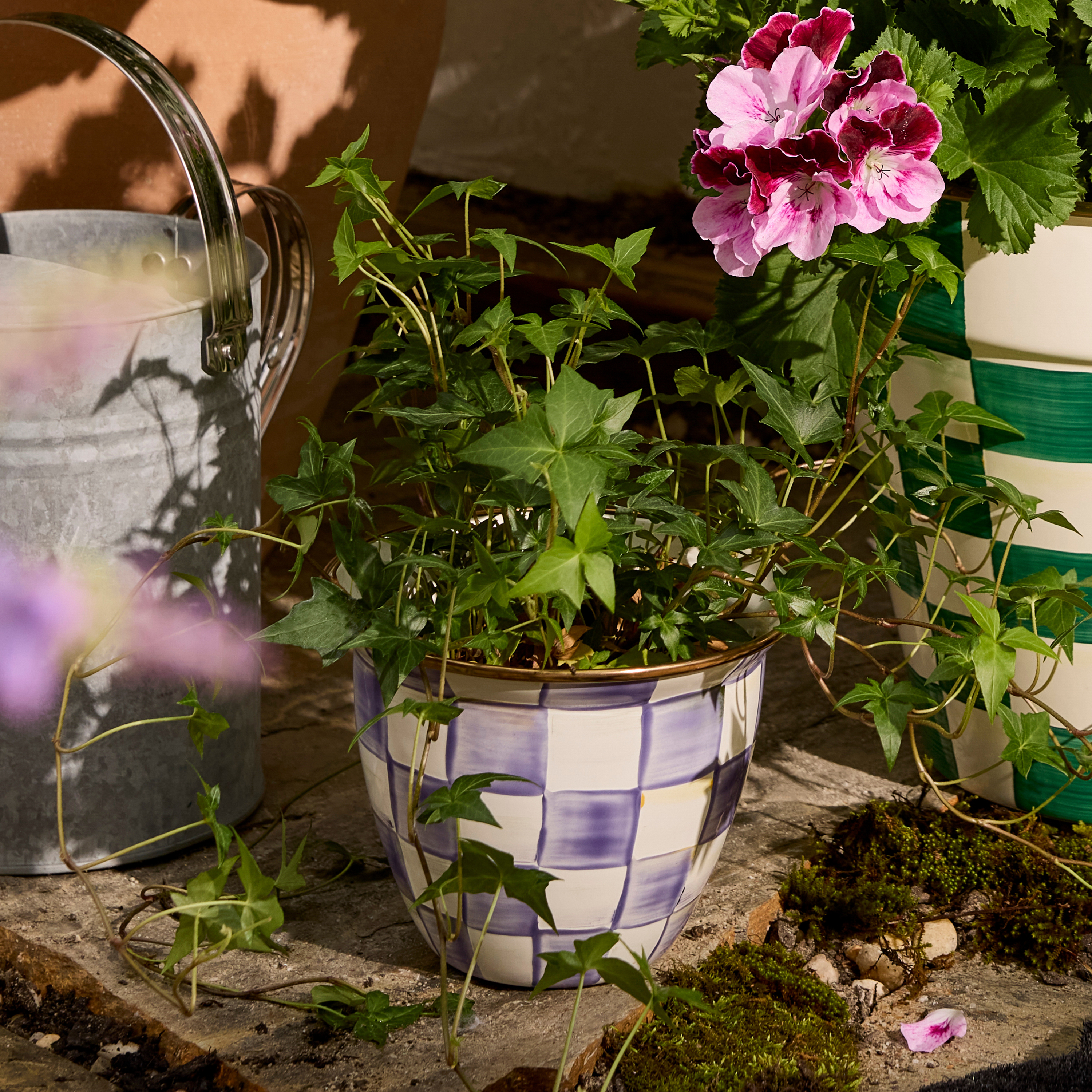 MacKenzie-Childs | Violet Check Large Flower Pot