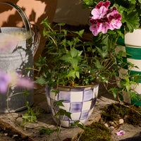 Violet Check Large Flower Pot