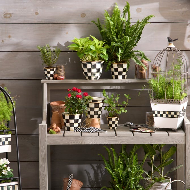 Courtly Check Small Garden Pot image number 11