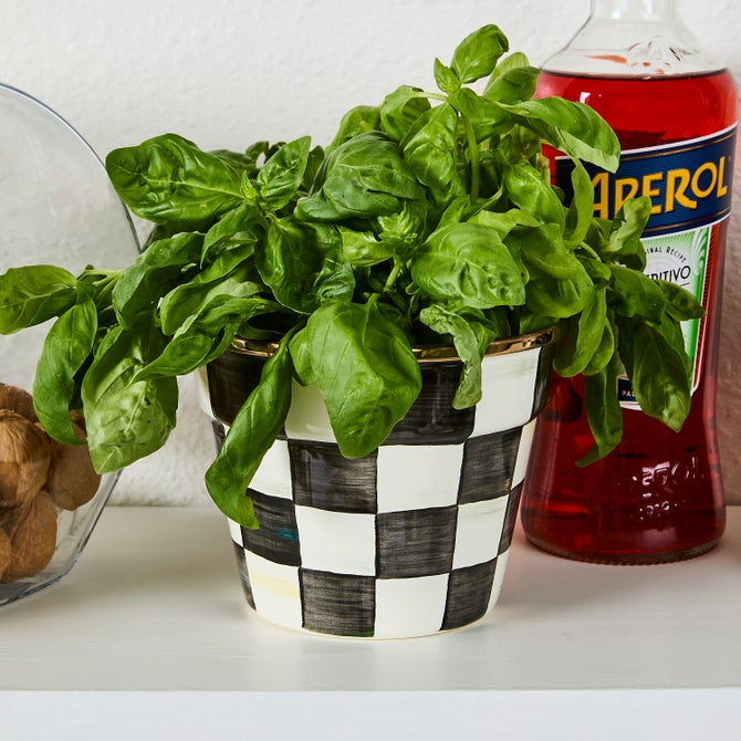 Courtly Check Small Garden Pot image number 13