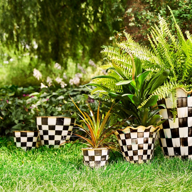 Courtly Check Small Garden Pot image number 5