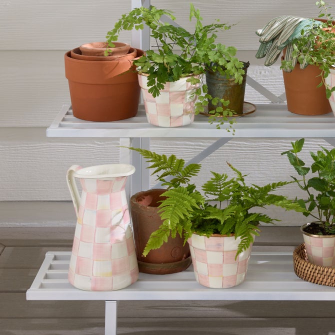 Rosy Check Small Garden Pot image number 1