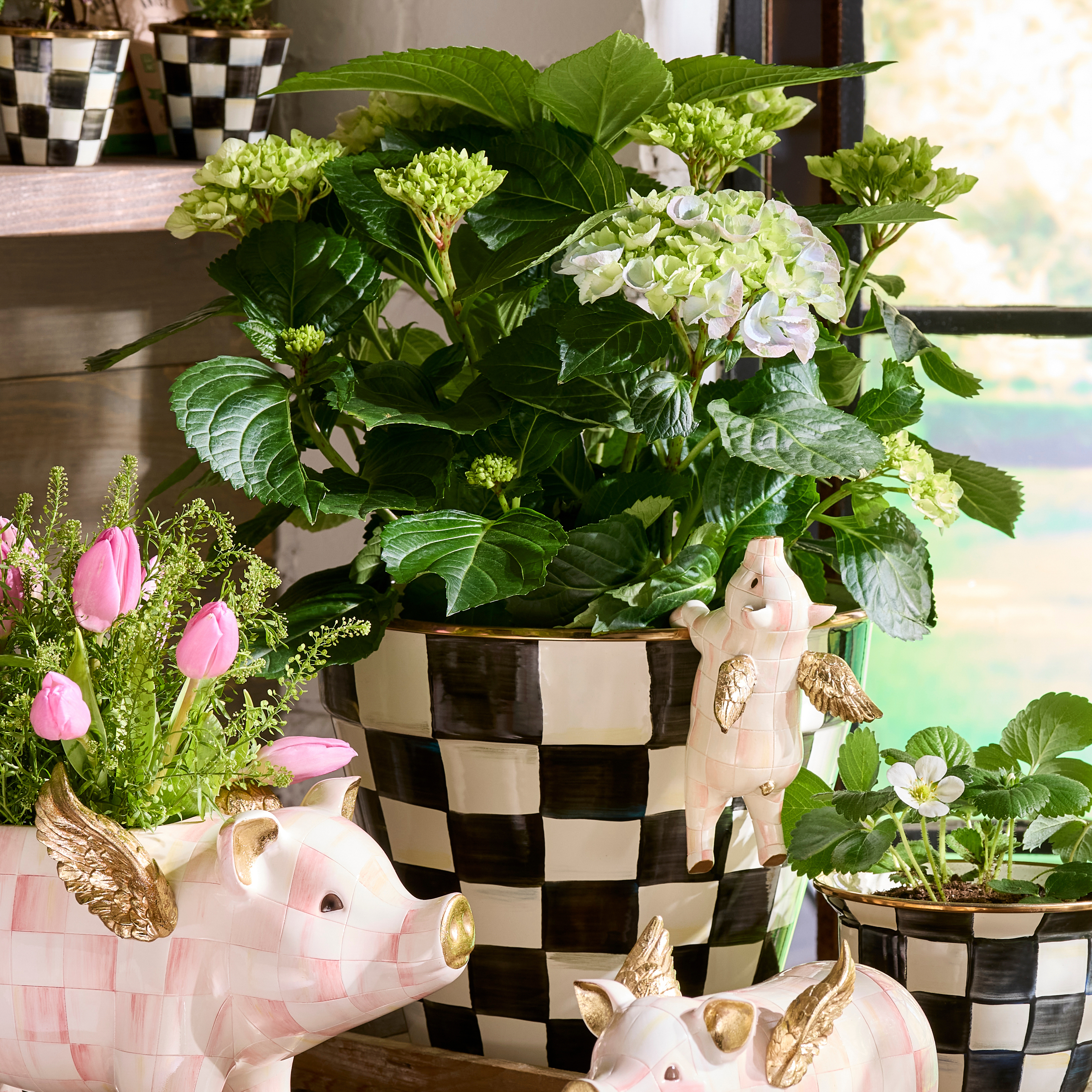 MacKenzie-Childs | Courtly Check Extra Large Garden Pot