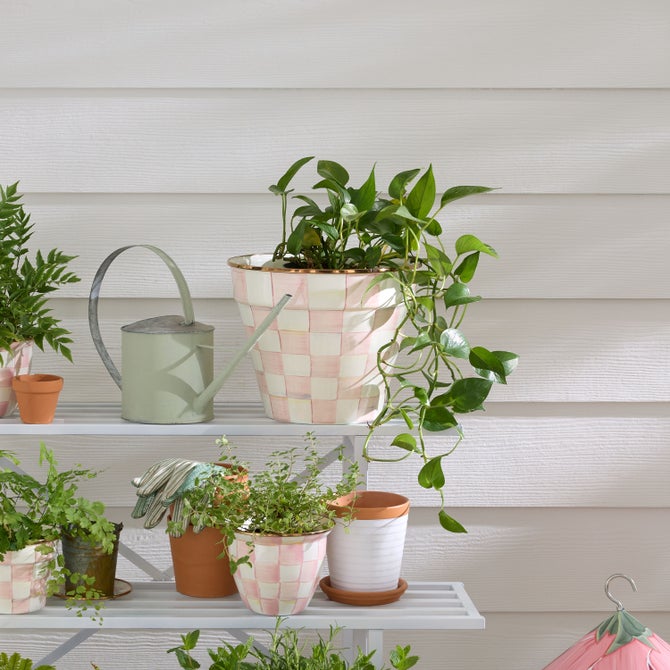 Rosy Check Extra Large Garden Pot image number 1