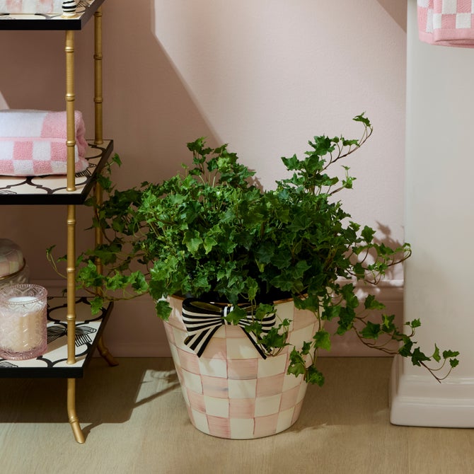 Rosy Check Extra Large Garden Pot image number 4