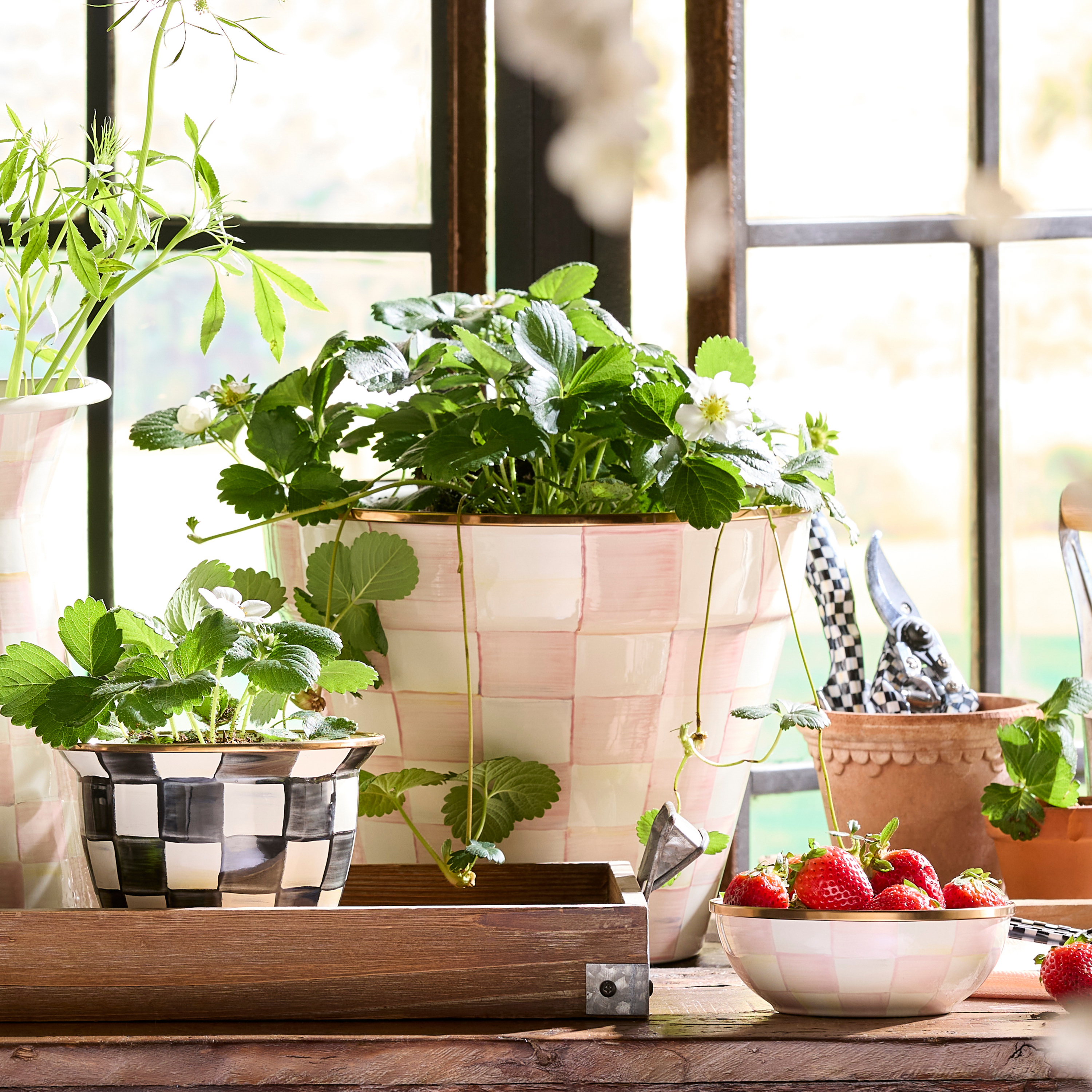 MacKenzie-Childs | Rosy Check Extra Large Garden Pot
