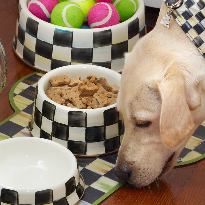 Check Pet Dishes image number 1