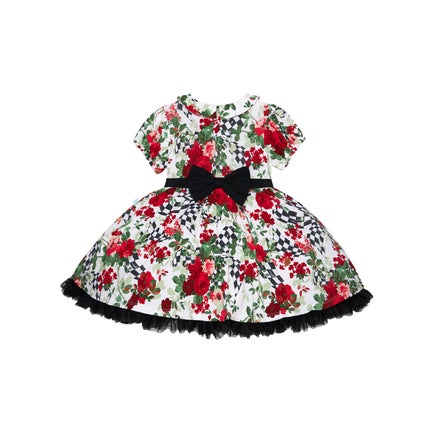 Posh Peanut Wild Rose Check Petticoat Dress